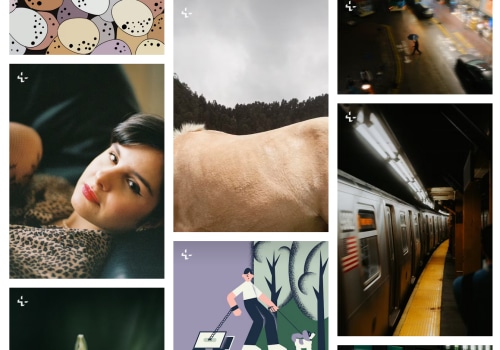 Unlocking the Potential of Digital Products on Your Blog